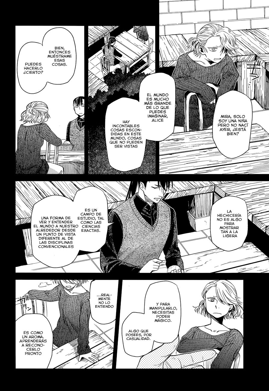 Mahou Tsukai No Yome Capitulo 27 página 10