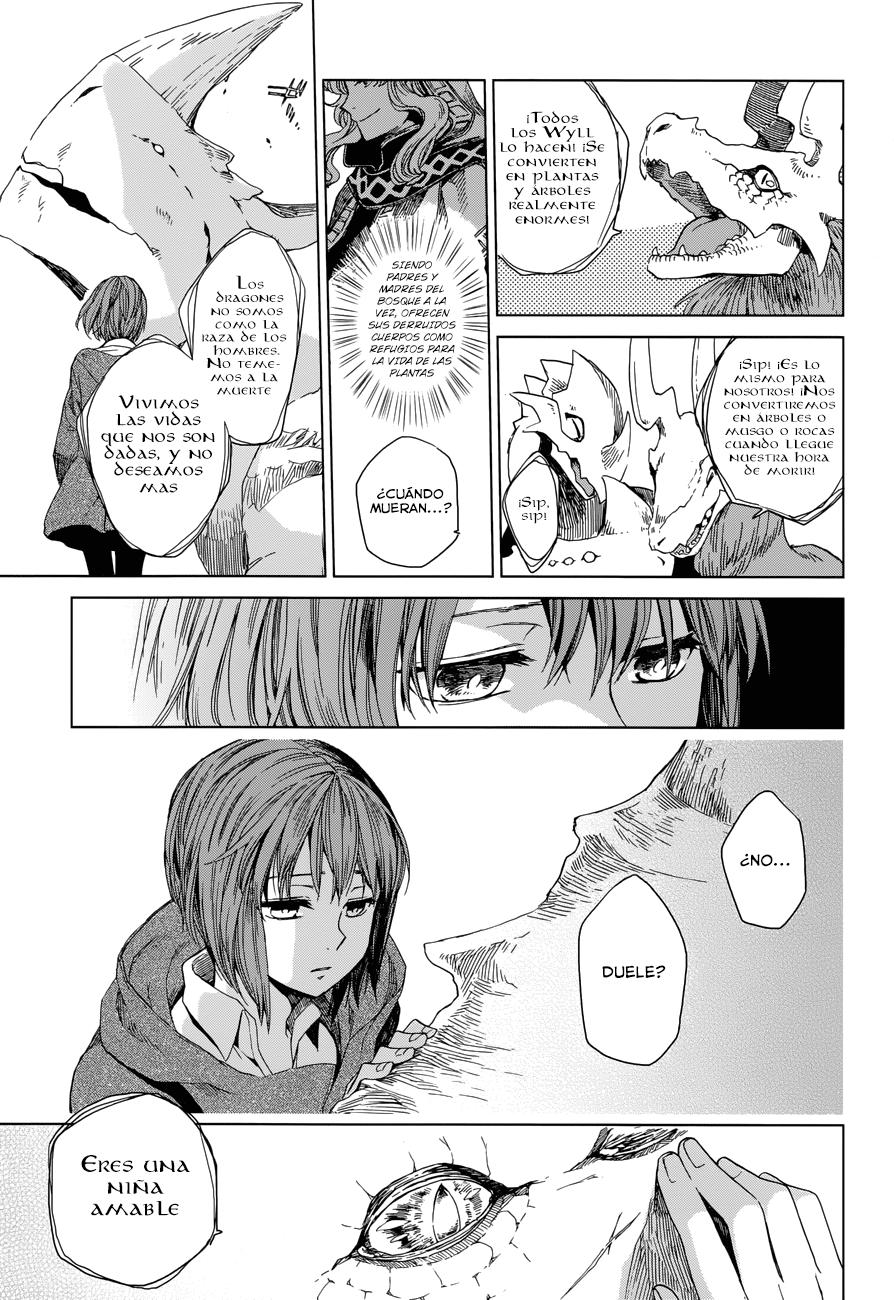 Mahou Tsukai No Yome Capitulo 3 página 25