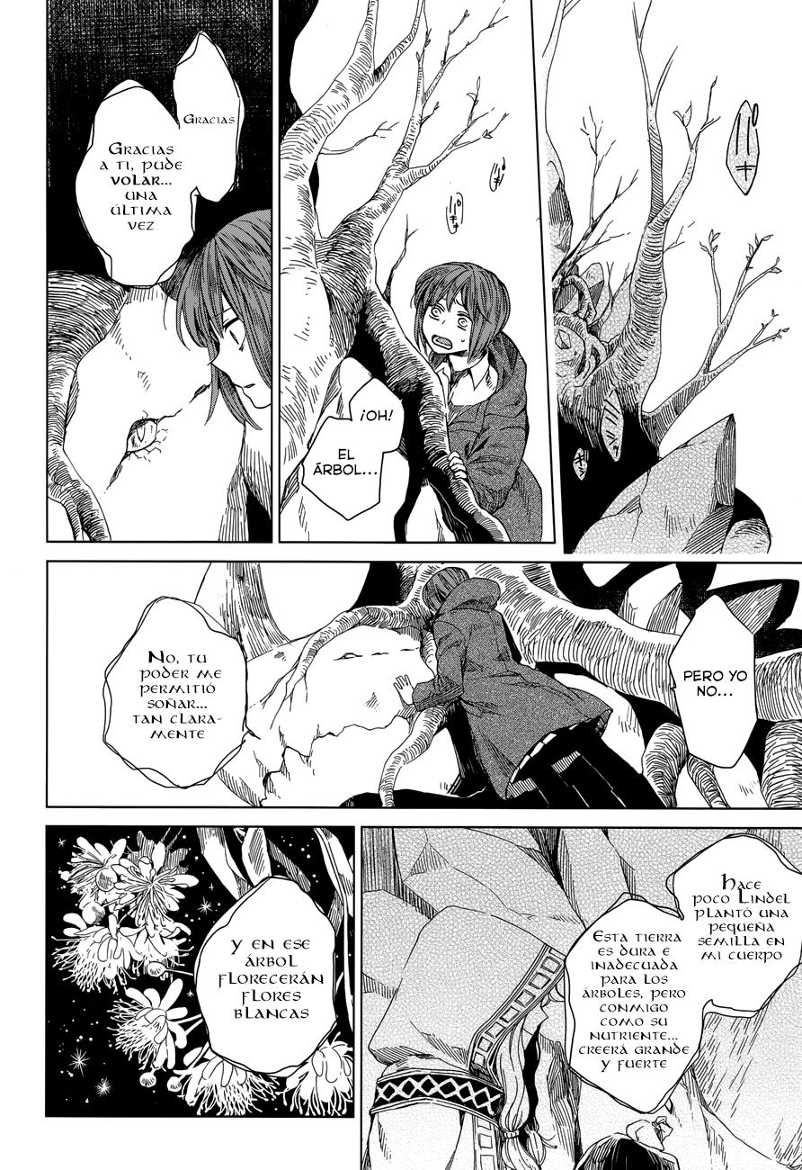 Mahou Tsukai No Yome Capitulo 3 página 32