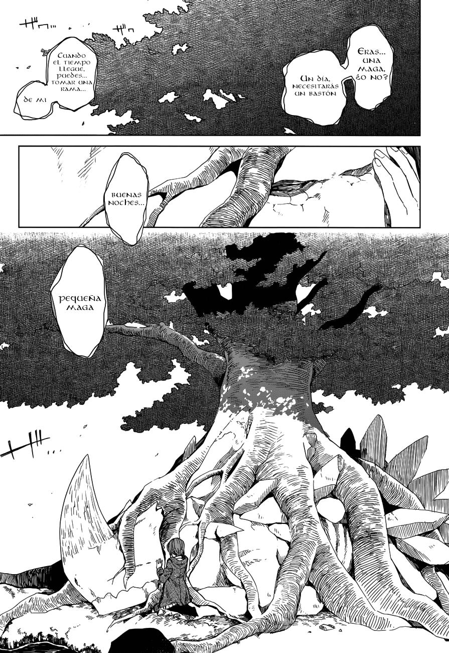 Mahou Tsukai No Yome Capitulo 3 página 33