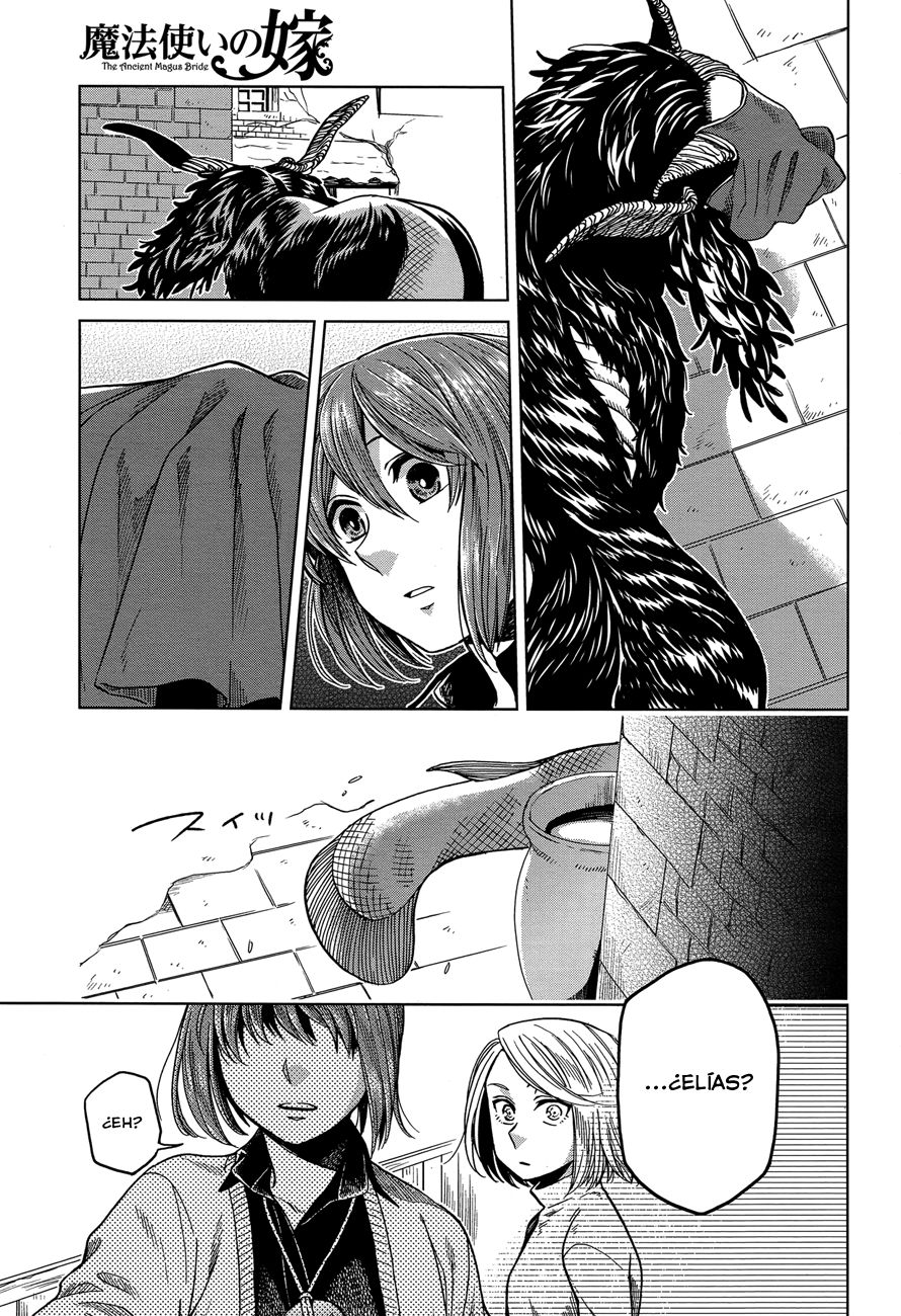 Mahou Tsukai No Yome Capitulo 30 página 19