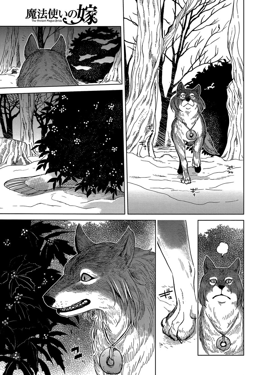 Mahou Tsukai No Yome Capitulo 30 página 26