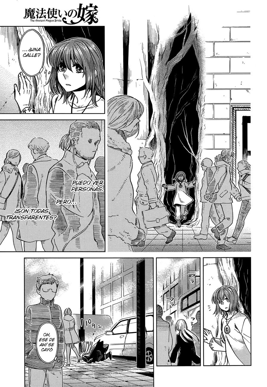 Mahou Tsukai No Yome Capitulo 33 página 7