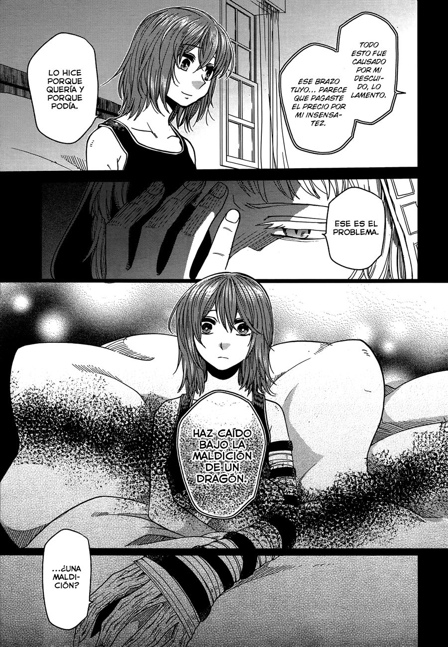 Mahou Tsukai No Yome Capitulo 36 página 17
