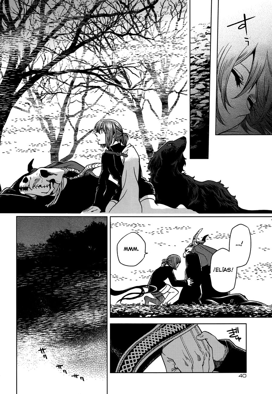 Mahou Tsukai No Yome Capitulo 38 página 12