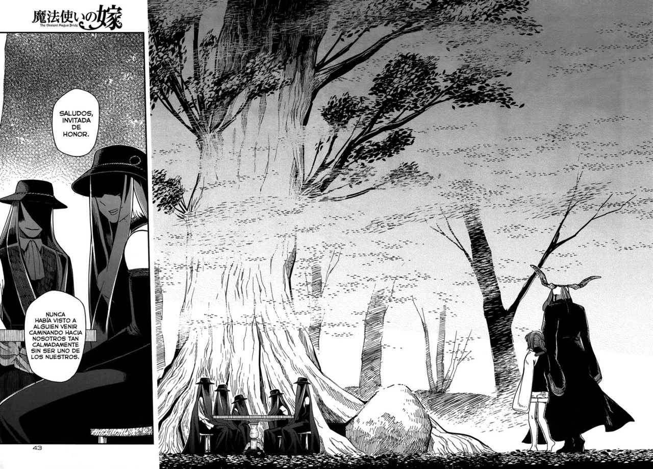 Mahou Tsukai No Yome Capitulo 38 página 14