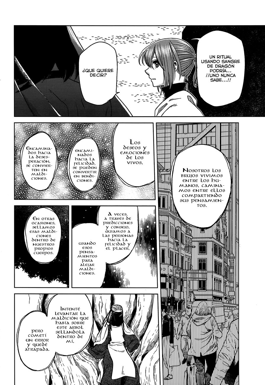 Mahou Tsukai No Yome Capitulo 38 página 21