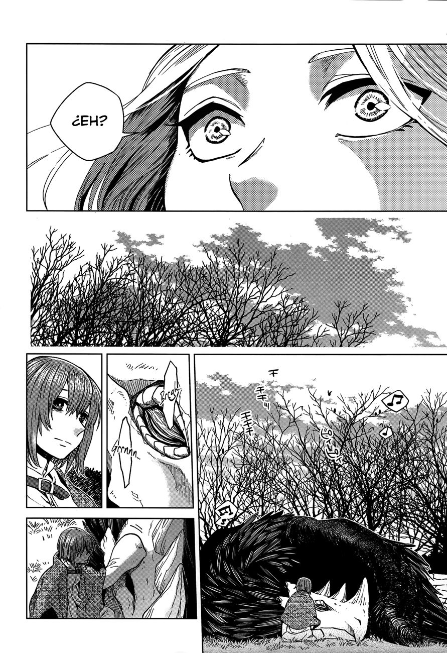Mahou Tsukai No Yome Capitulo 39 página 26