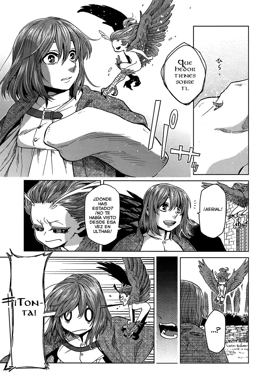 Mahou Tsukai No Yome Capitulo 39 página 27