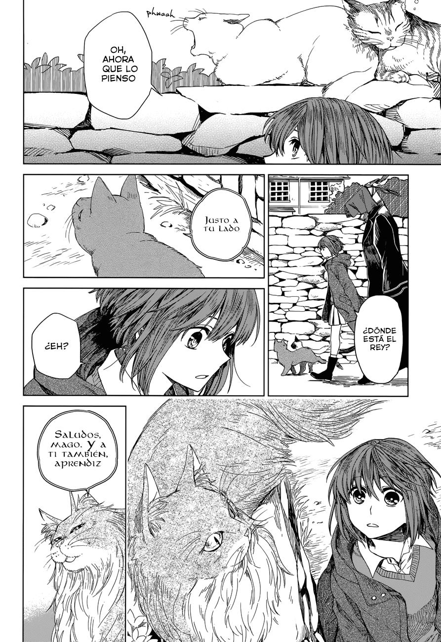 Mahou Tsukai No Yome Capitulo 4 página 12