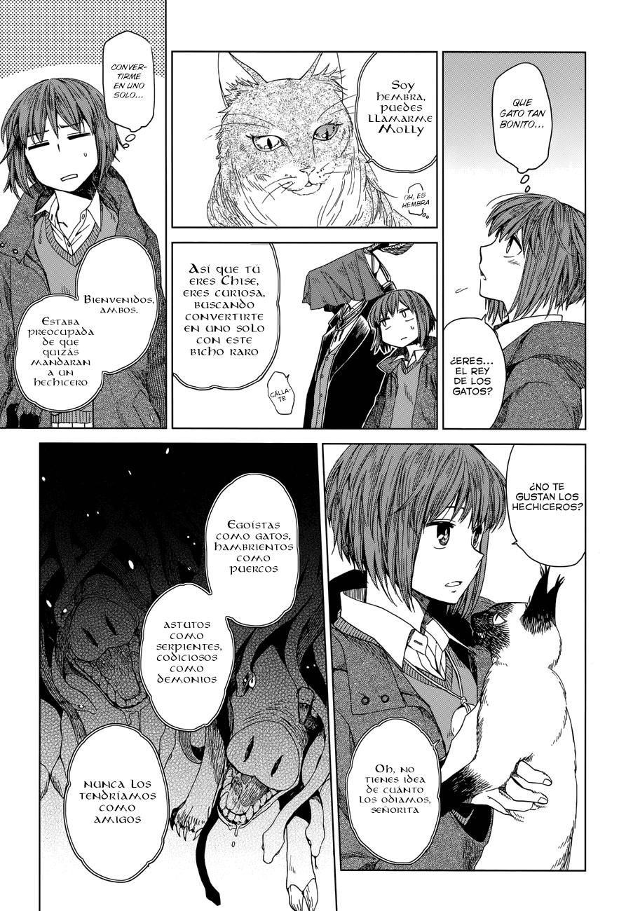 Mahou Tsukai No Yome Capitulo 4 página 13