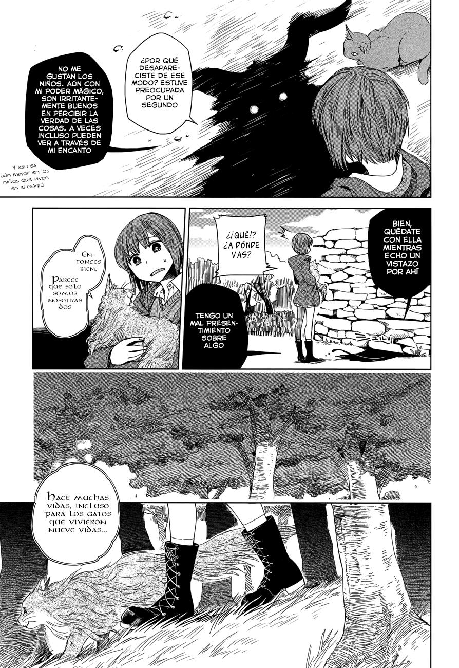 Mahou Tsukai No Yome Capitulo 4 página 17