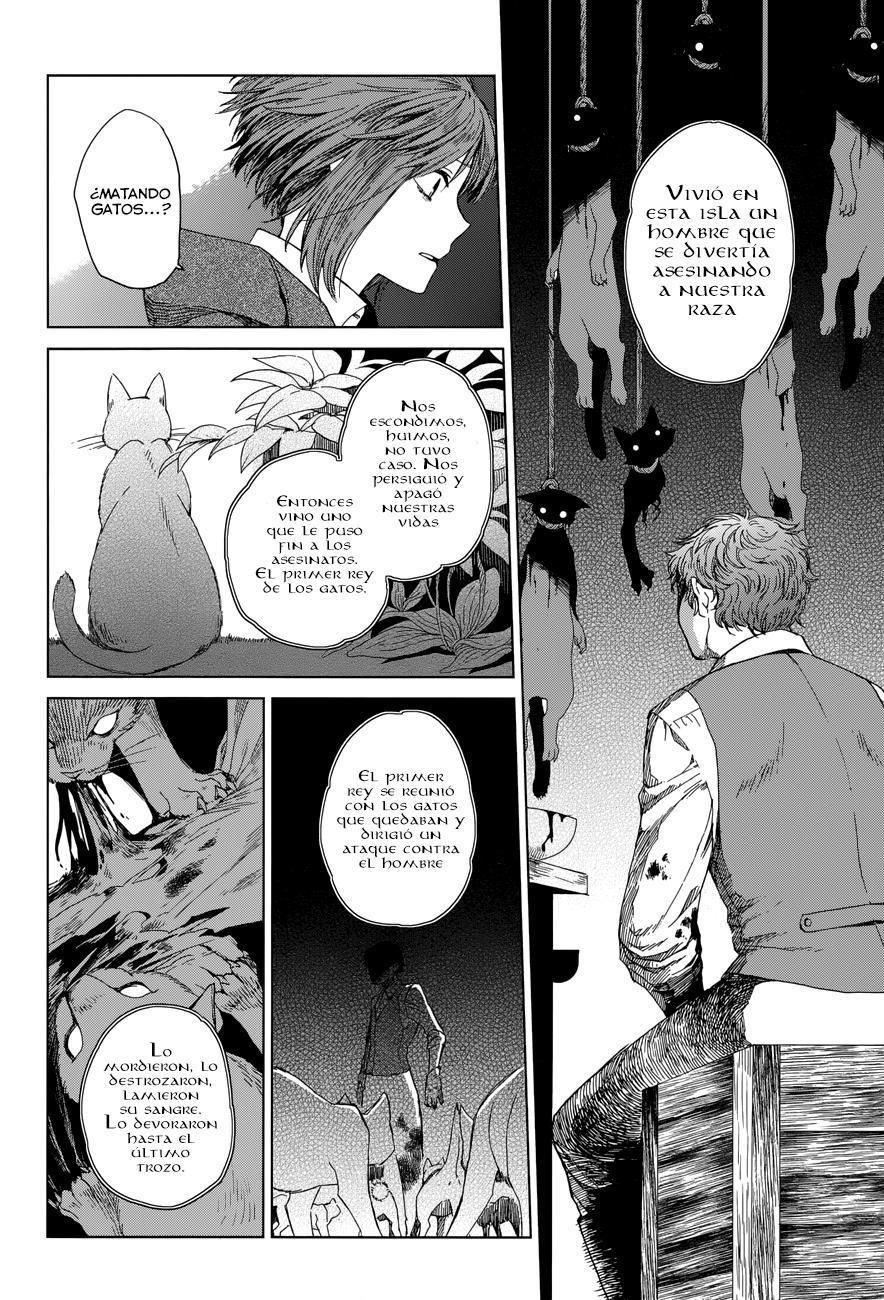Mahou Tsukai No Yome Capitulo 4 página 18