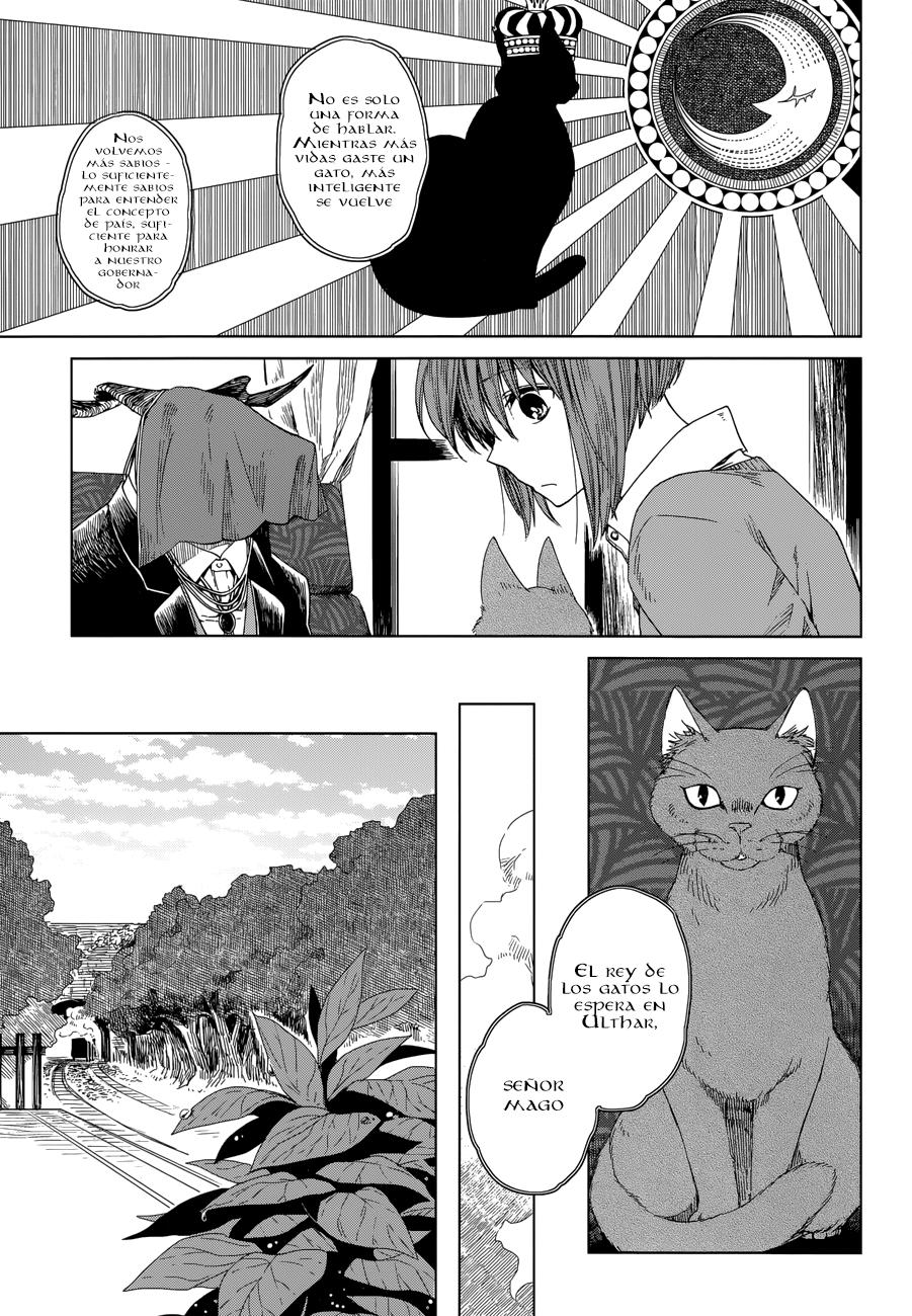 Mahou Tsukai No Yome Capitulo 4 página 7