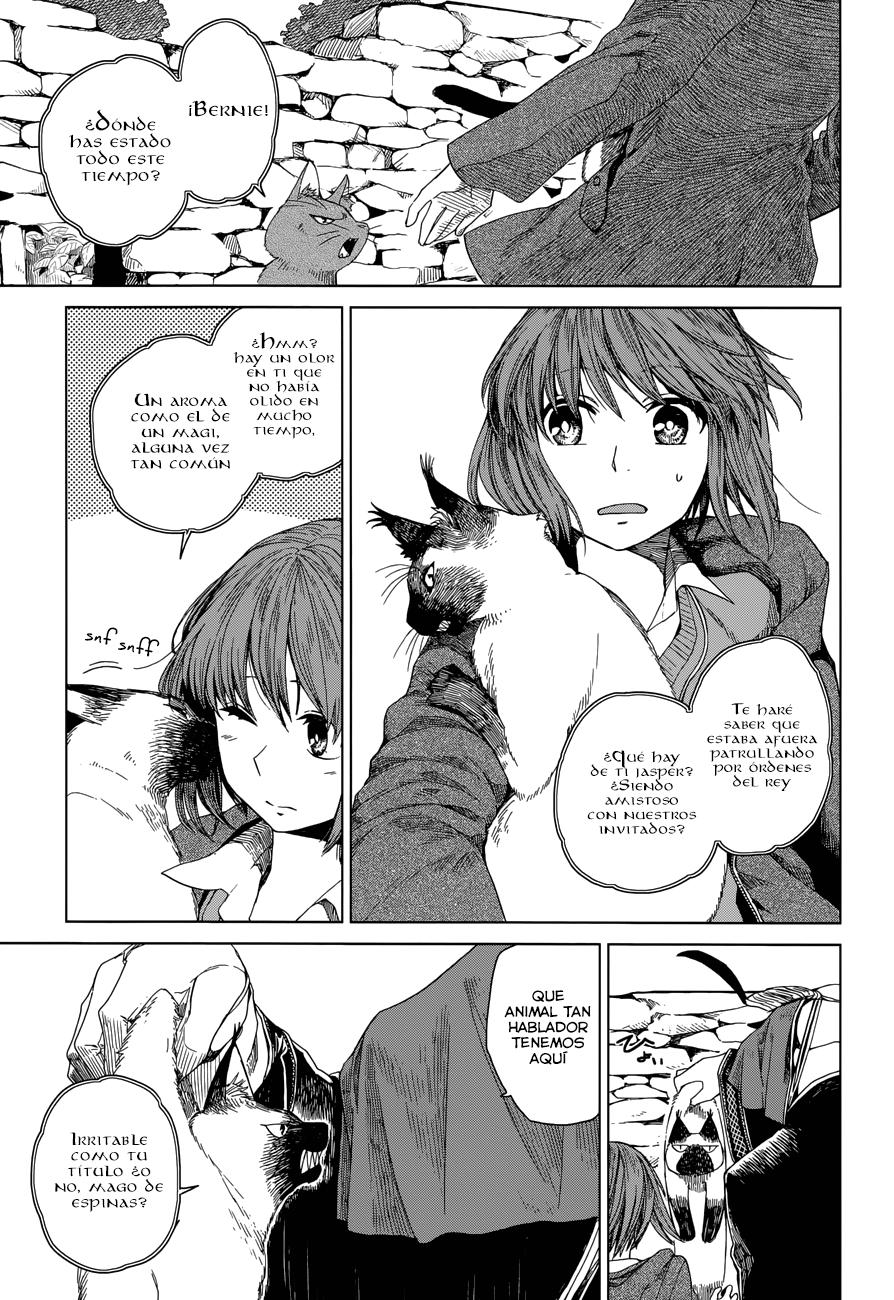 Mahou Tsukai No Yome Capitulo 4 página 9