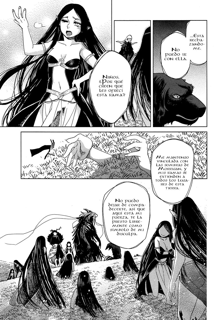 Mahou Tsukai No Yome Capitulo 41 página 12
