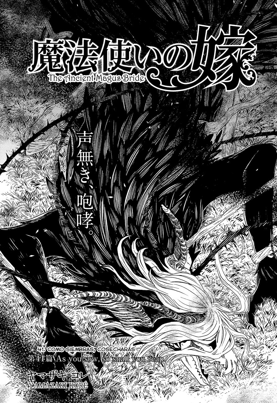 Mahou Tsukai No Yome Capitulo 41 página 4