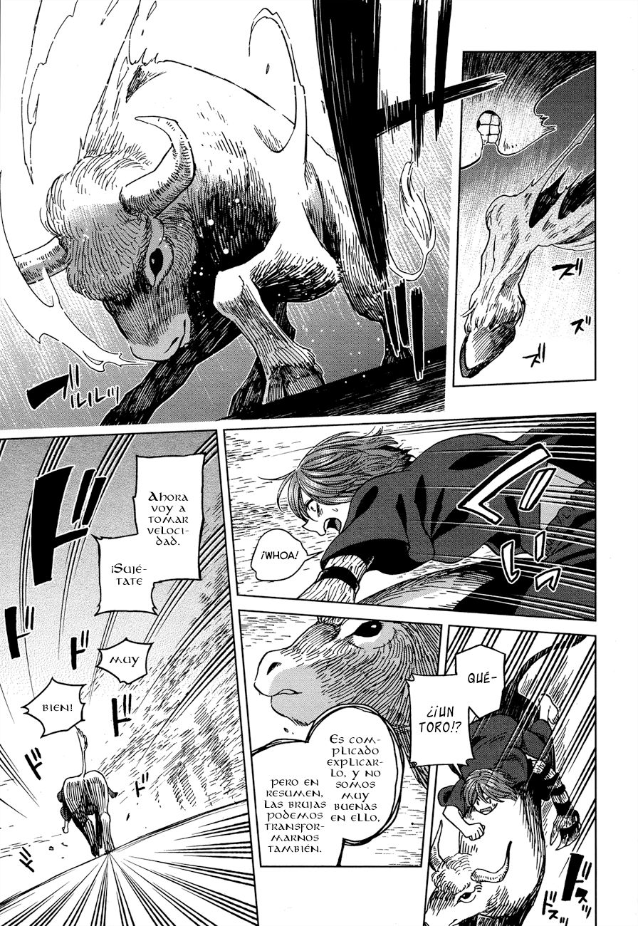 Mahou Tsukai No Yome Capitulo 44 página 26