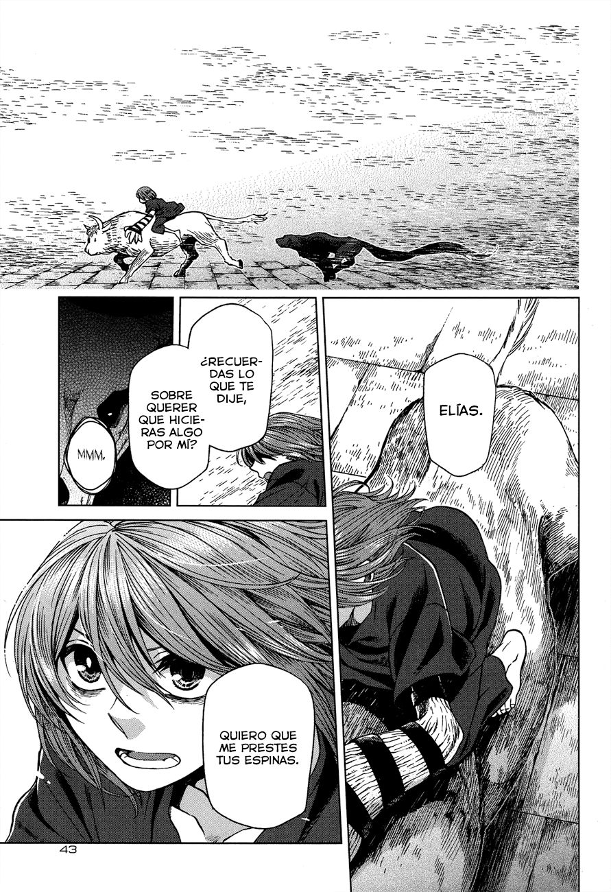 Mahou Tsukai No Yome Capitulo 45 página 2