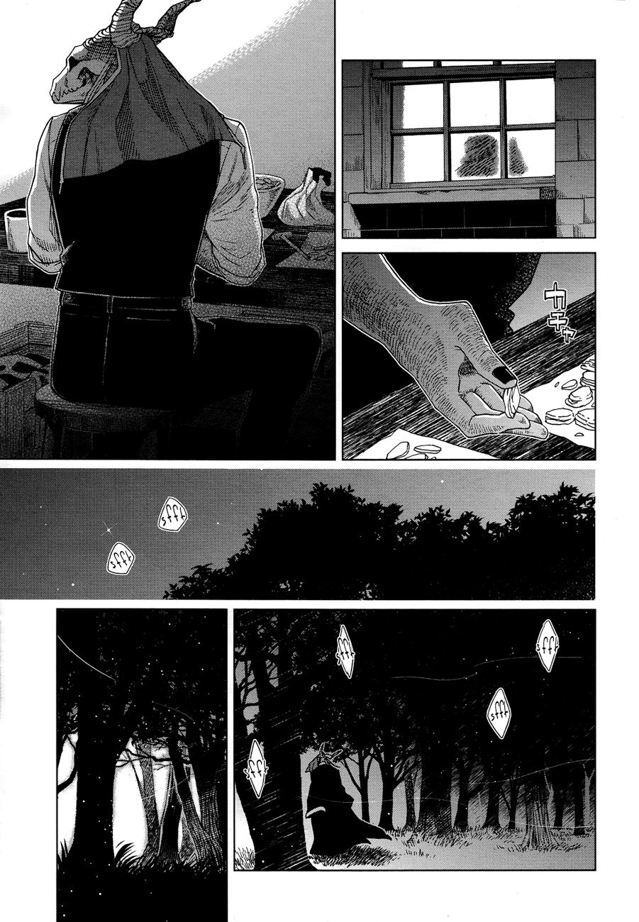 Mahou Tsukai No Yome Capitulo 45 página 47