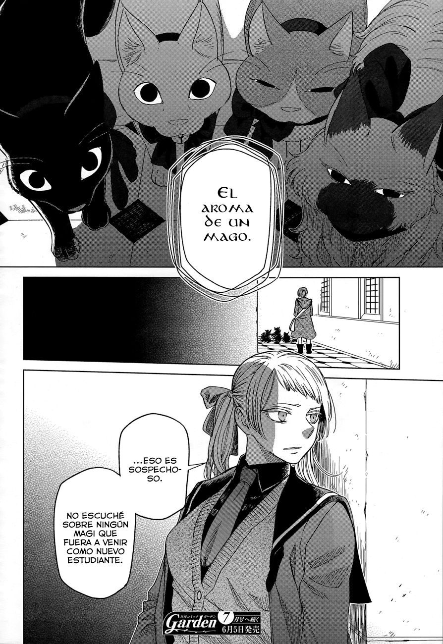 Mahou Tsukai No Yome Capitulo 46 página 34