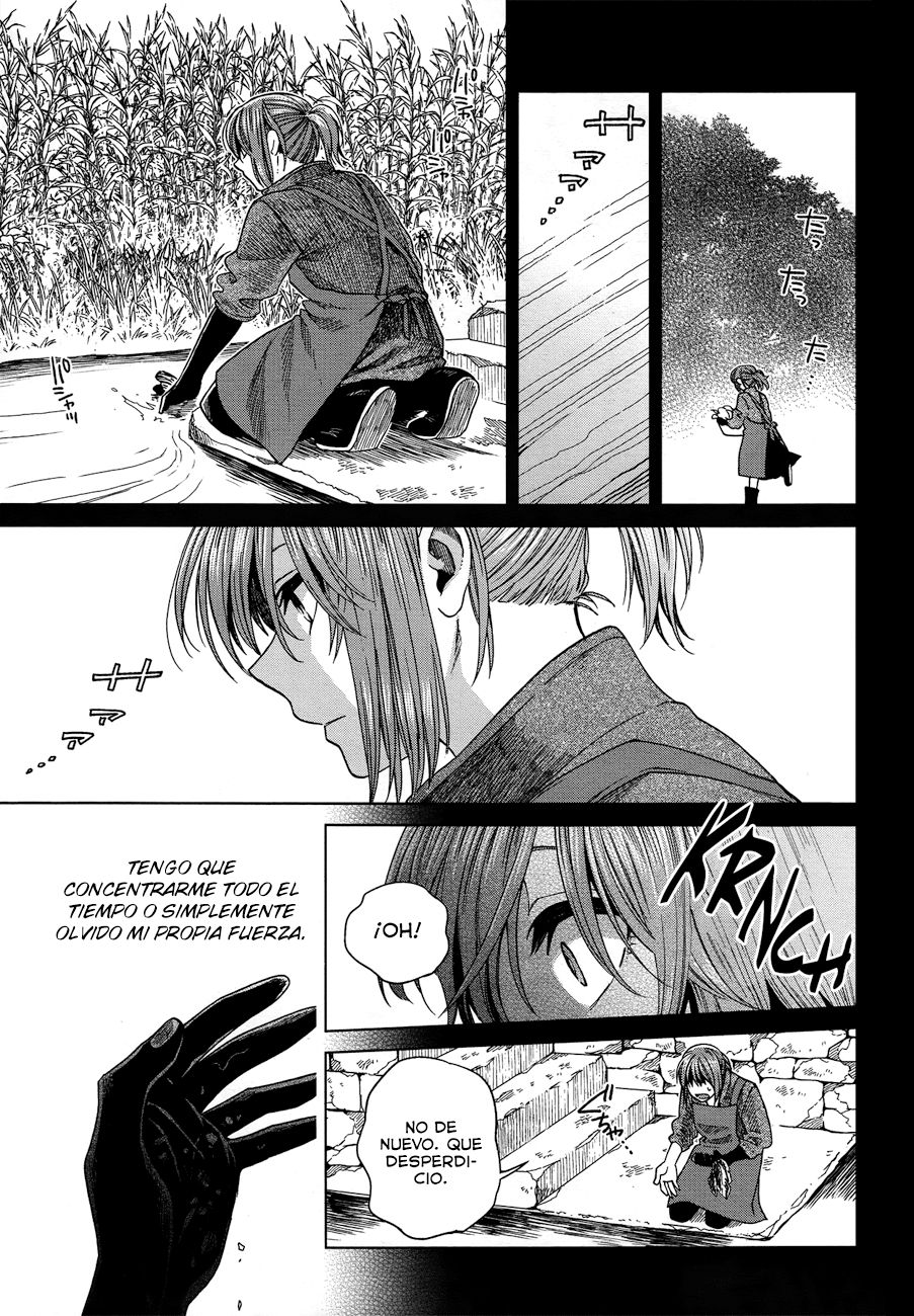 Mahou Tsukai No Yome Capitulo 46 página 9