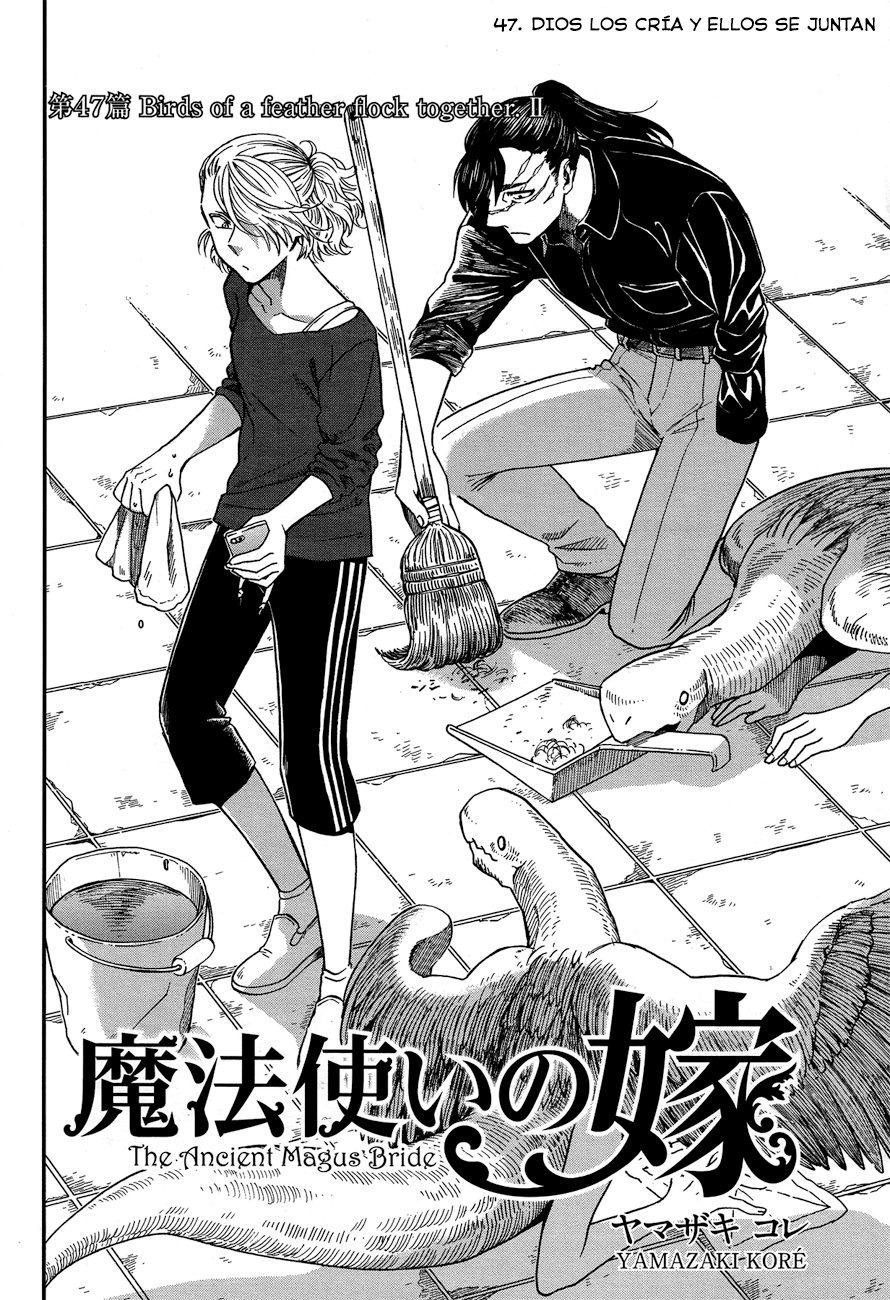Mahou Tsukai No Yome Capitulo 47 página 2