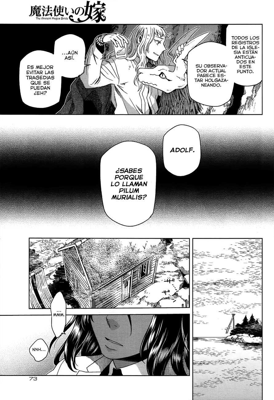 Mahou Tsukai No Yome Capitulo 49 página 33