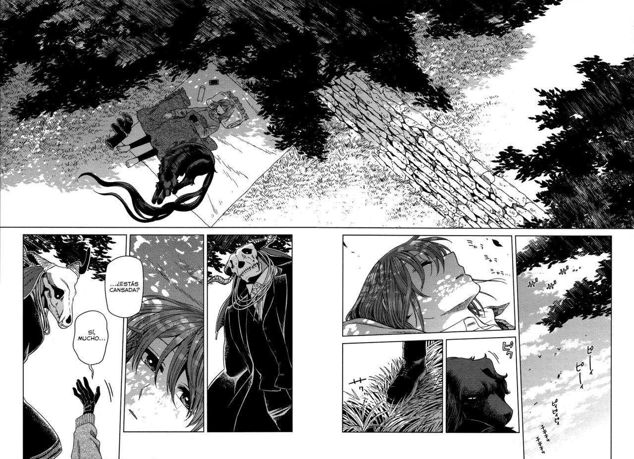 Mahou Tsukai No Yome Capitulo 50 página 7