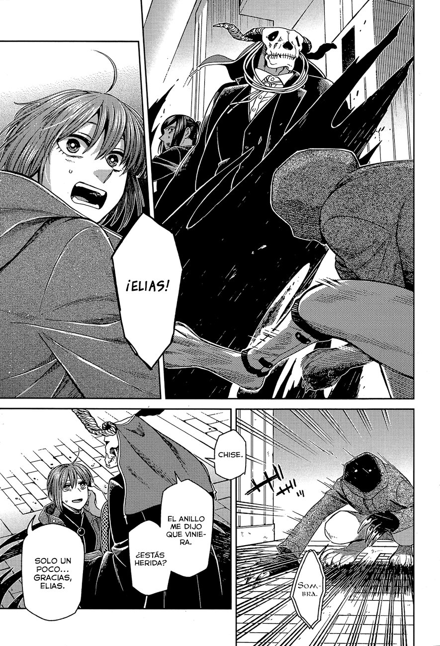 Mahou Tsukai No Yome Capitulo 64 página 25
