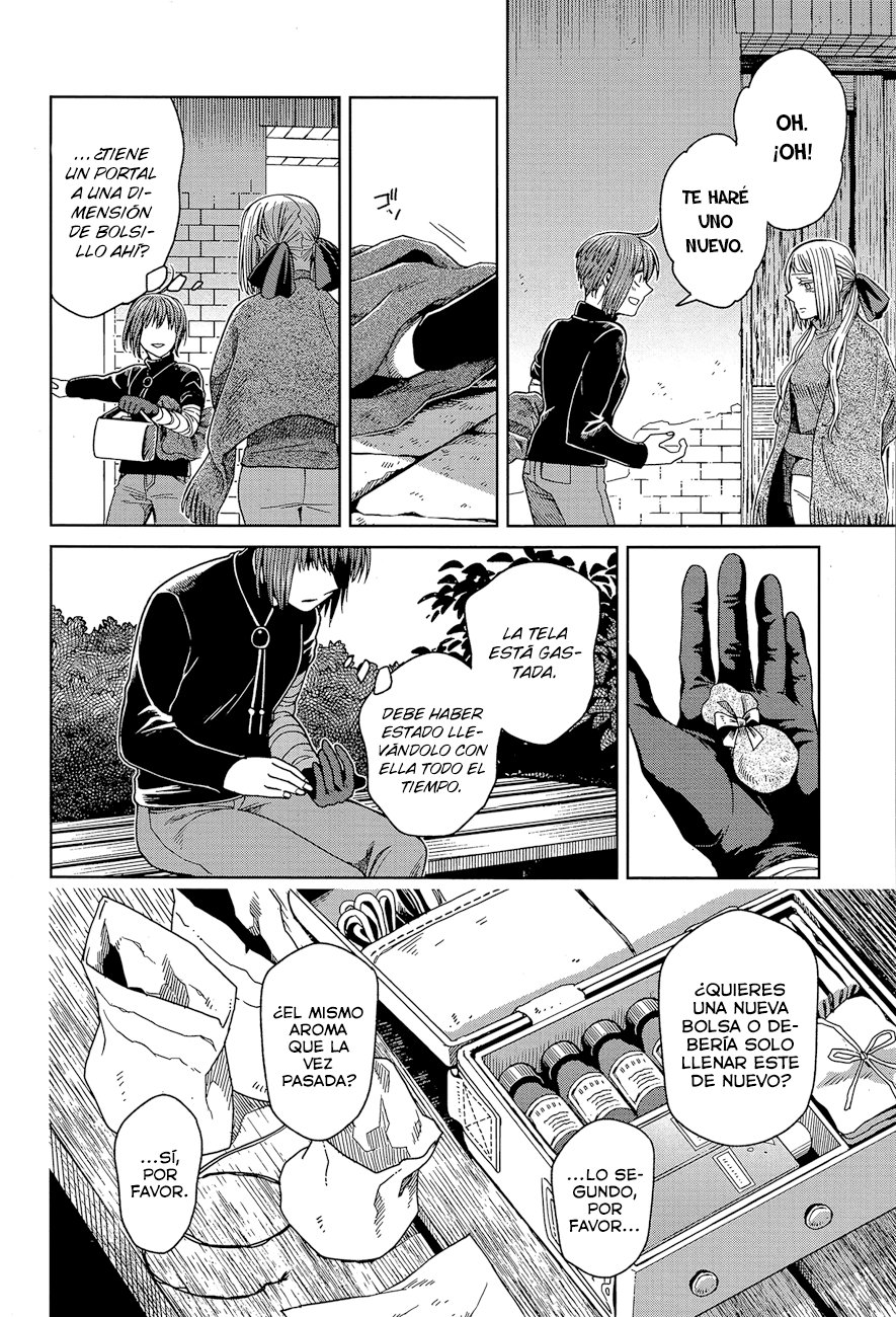 Mahou Tsukai No Yome Capitulo 66 página 14