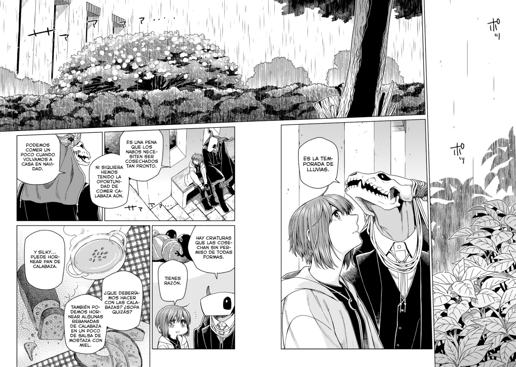 Mahou Tsukai No Yome Capitulo 75 página 10