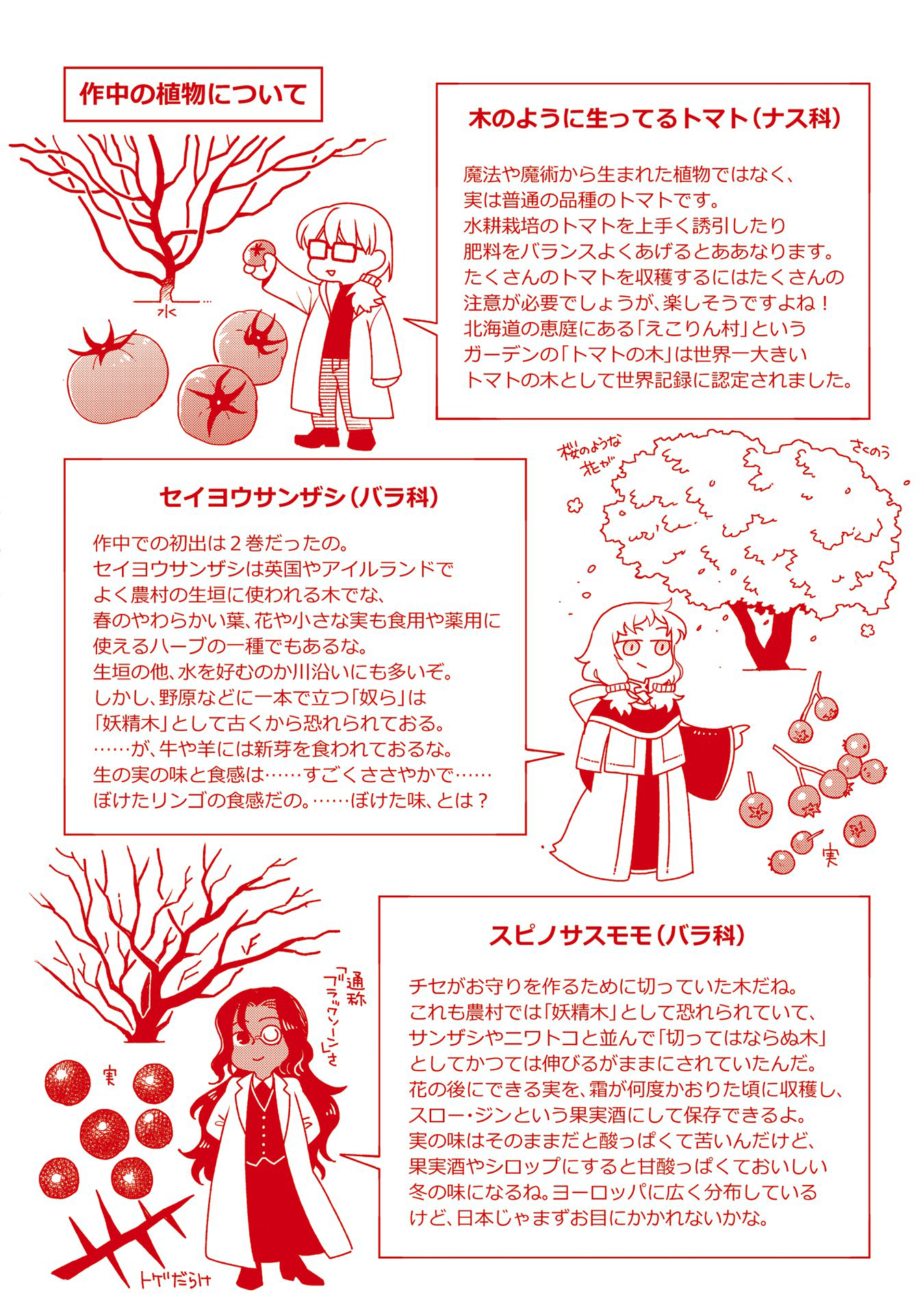 Mahou Tsukai No Yome Capitulo 80: Los eventos venideros arrojan sus sombras con anticipación II página 48