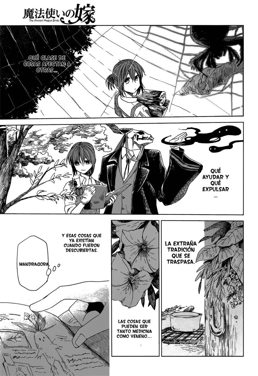 Mahou Tsukai No Yome Capitulo 9: Quien esta castigando a Renfred? página 8