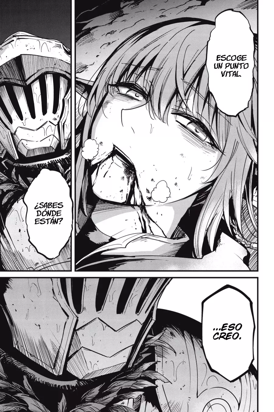 Goblin Slayer: Year One Capitulo 107 página 13