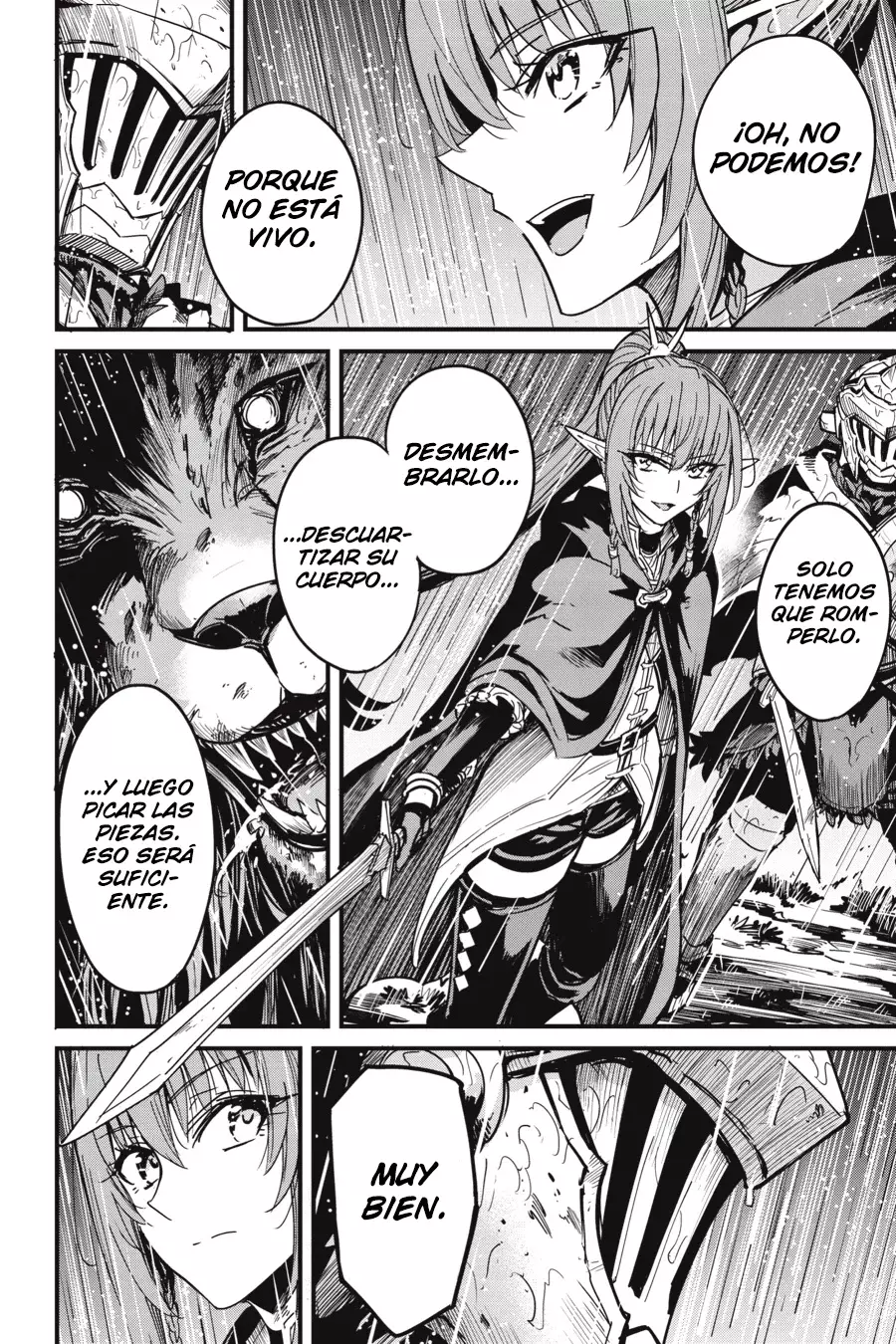 Goblin Slayer: Year One Capitulo 97 página 25