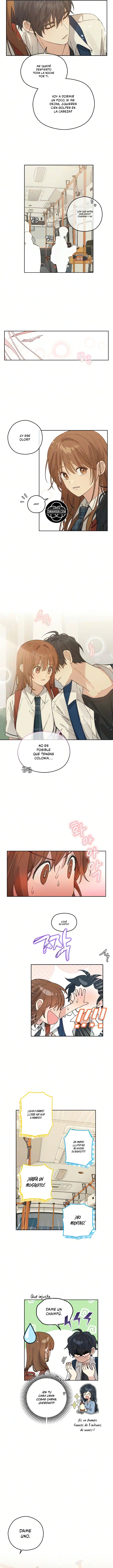 Bello Desastre Capitulo 7 página 8