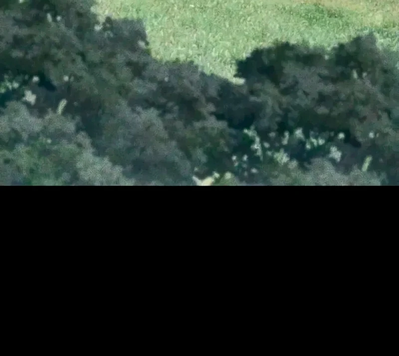 Mi esposa me esperaba en el campo de trigo. Capitulo 19 página 3