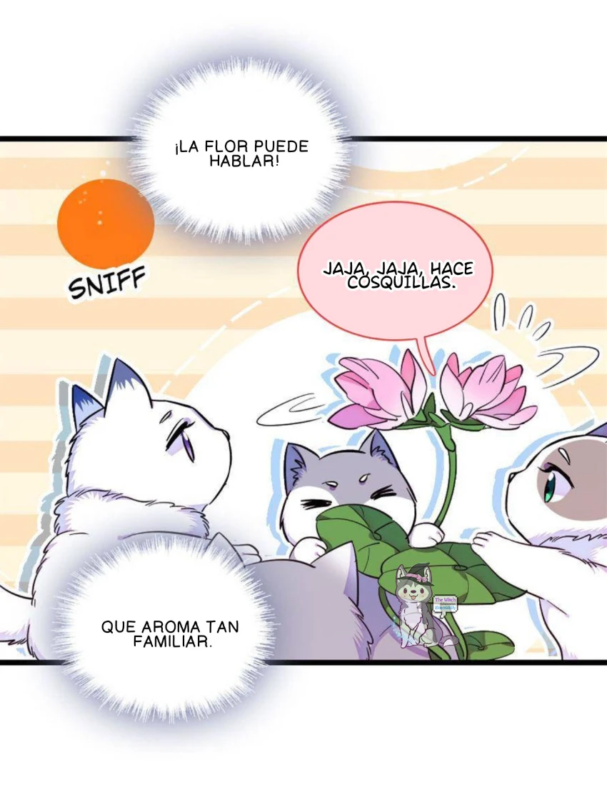 El lindo mundo de las bestias Capitulo 234 página 14