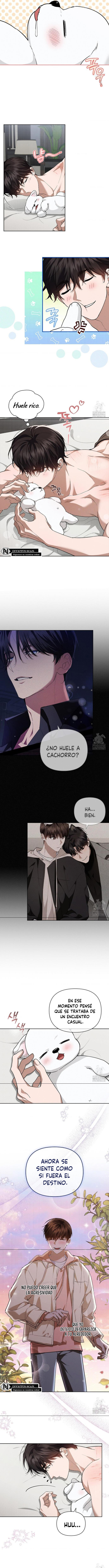 no toques el perro Capitulo 27 página 3
