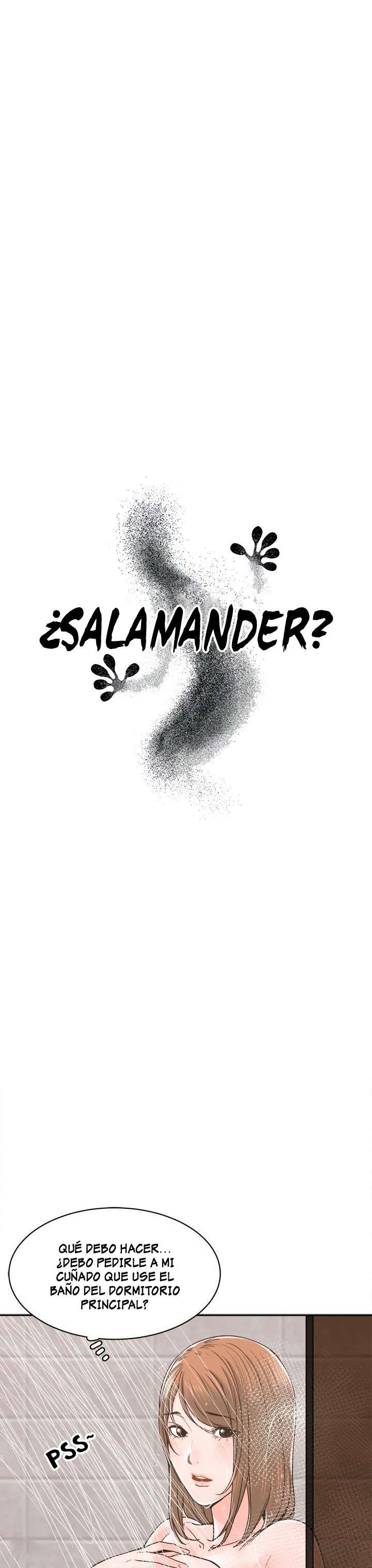 Salamander Capitulo 21 página 10