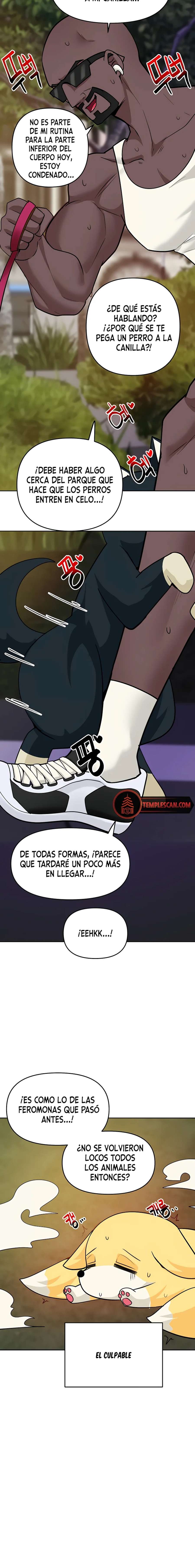 La Versión Nueva era un Engaño Capitulo 47 página 8