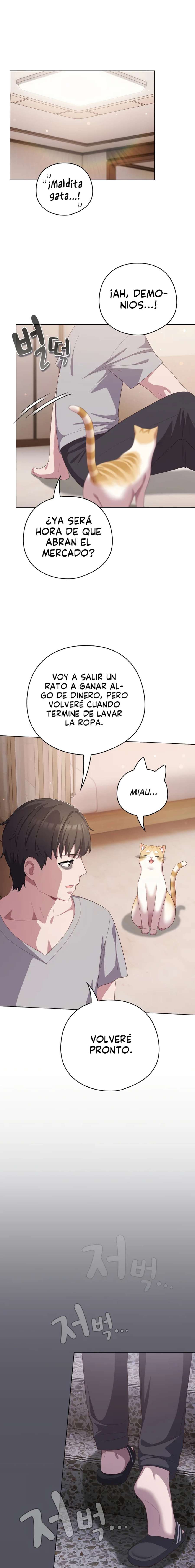 La Amante de los Gatos Capitulo 18 página 17