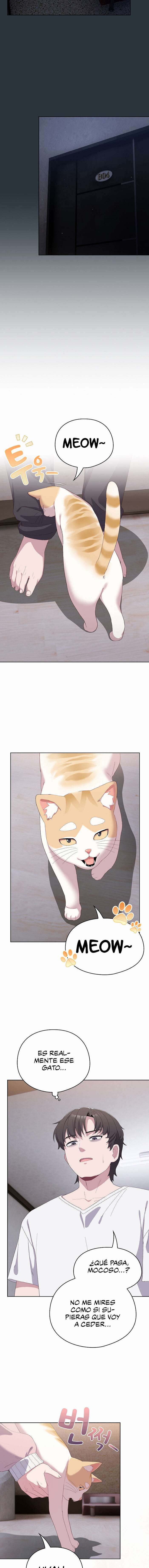 La Amante de los Gatos Capitulo 2 página 11