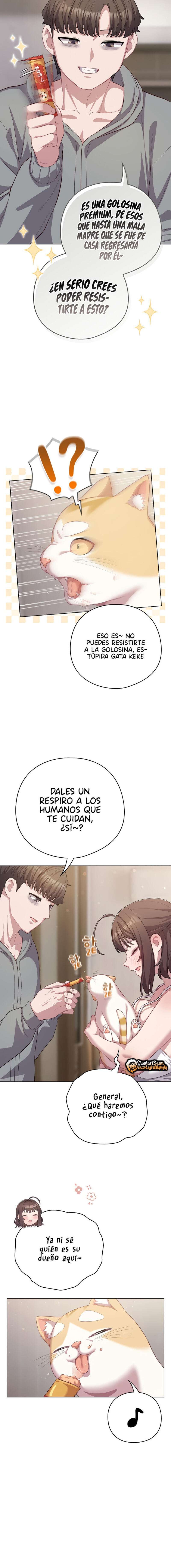 La Amante de los Gatos Capitulo 33 página 11
