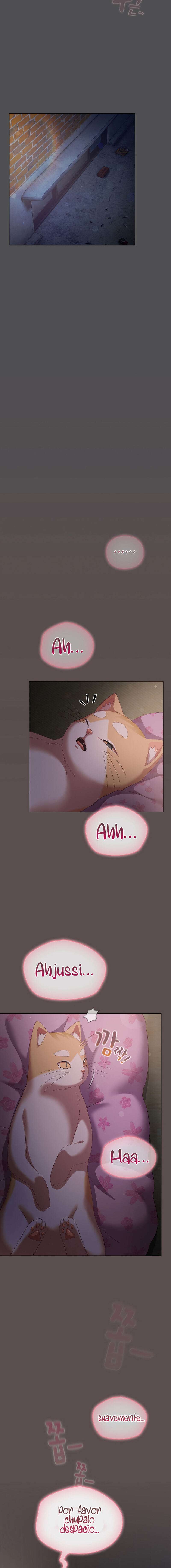 La Amante de los Gatos Capitulo 6 página 16