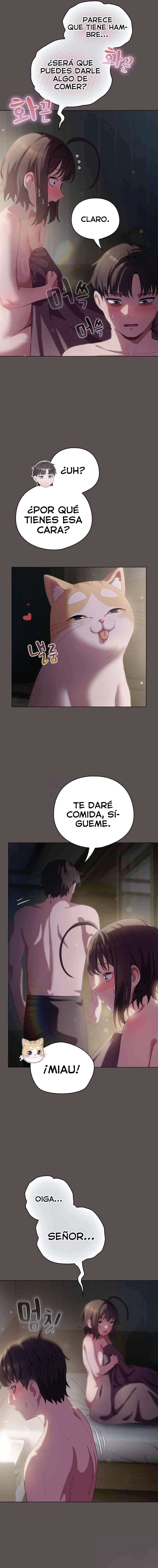 La Amante de los Gatos Capitulo 9 página 19