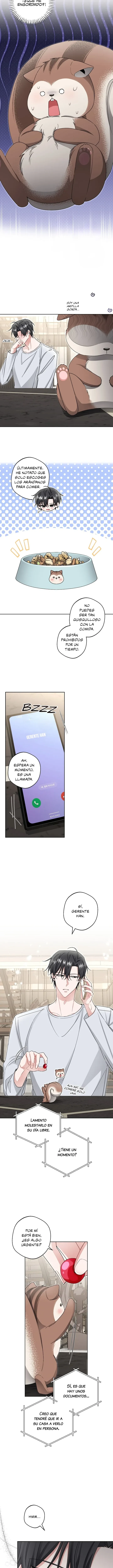 Hasta la ardilla solitaria tiene su madriguera Capitulo 11 página 4