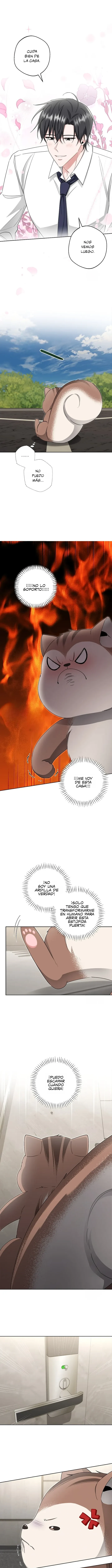 Hasta la ardilla solitaria tiene su madriguera Capitulo 9 página 10