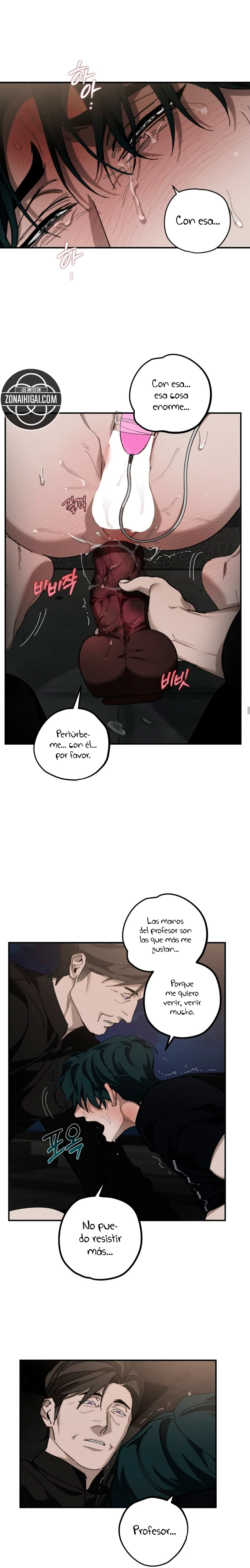 Combustion incompleta Capitulo 30 página 11